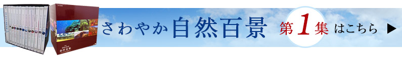 さわやか自然百景 第1期 DVD-BOX
