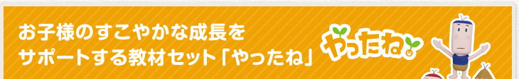 ql̂₩ȐT|[g鋳ރZbguˁv