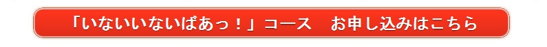 やったね「いないいないばあっ！」コースおまとめボックスのお申し込みはこちら