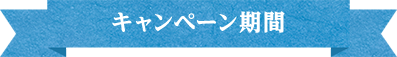 キャンペーン期間