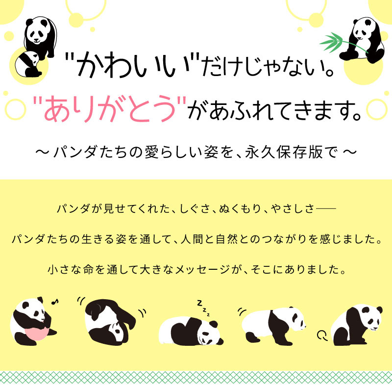 パンダ特集