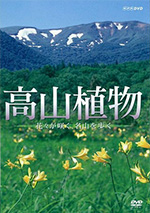 高山植物～花々が咲く名山を歩く～