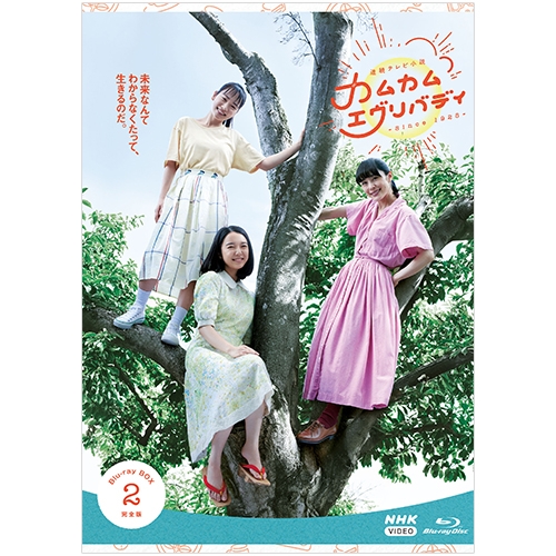 連続テレビ小説 カムカムエヴリバディ 完全版 ブルーレイBOX2 全4枚