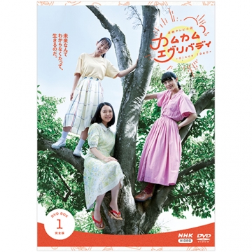 連続テレビ小説 カムカムエヴリバディ 完全版 DVD-BOX1 全4枚｜国内 