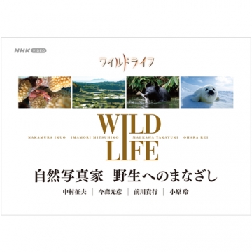 ワイルドライフ 自然写真家 野生へのまなざし DVD-BOX 全4枚 ...