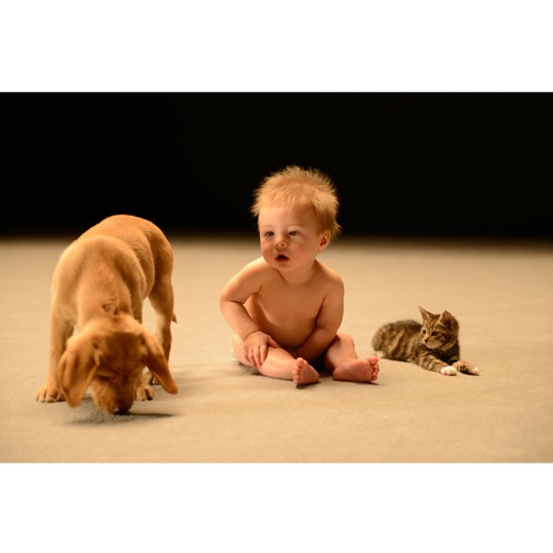 赤ちゃんのヒミツ 驚くべき生命力 ドキュメンタリー Dvd