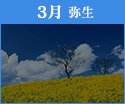 3月