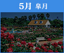 5月