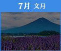 7月