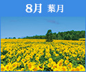 花紀行～四季の名所めぐり～