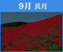 9月