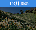 12月