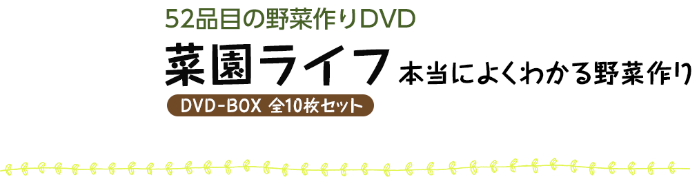 52品目の野菜作りDVD　菜園ライフ　本当によくわかる野菜作り　DVD-BOX　全10枚セット