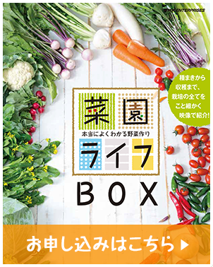 菜園ライフBOX