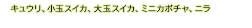 キュウリ、小玉スイカ、大玉スイカ、ミニカボチャ、ニラ