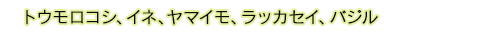 トウモロコシ、イネ、ヤマイモ、ラッカセイ、バジル