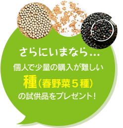 さらにいまなら…個人で少量の購入が難しい種（春野菜5種）の試供品をプレゼント！
