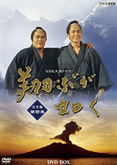 翔ぶが如く