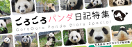 ごろごろパンダ日記特集
