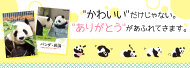 パンダ特集