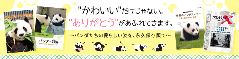パンダ特集