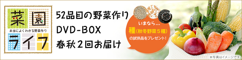 菜園ライフ