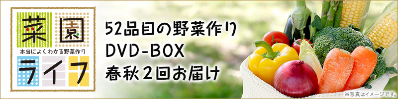 菜園ライフ